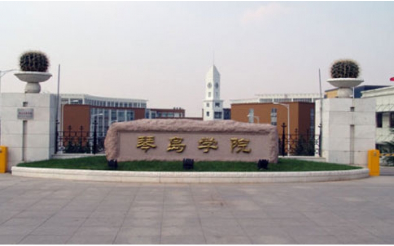 理工大學琴島學院清洗